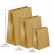 Sacola Kraft (Kit 12 un.)